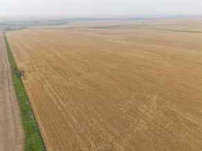 Agriculture Rockyford homes