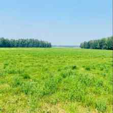 Residential Land Rural Clearwater County homes