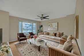 Detached Martindale homes