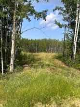 Residential Land Lac La Biche homes