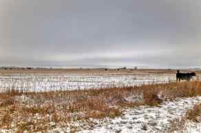 Commercial Land Rural Wheatland County homes
