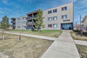 Apartment Mountview homes