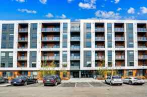 Apartment Belvedere homes