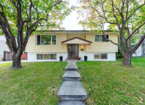 Detached Marlborough Park homes