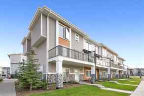 Row/Townhouse Savanna Saddle Ridge homes