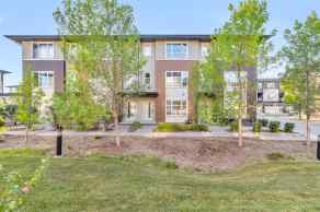 Row/Townhouse Evanston Ridge homes