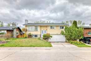 Detached Nose Hill Park homes