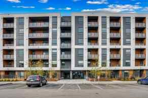 Apartment Belvedere homes