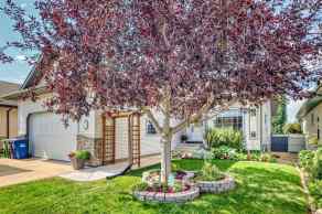 Detached Red Deer homes