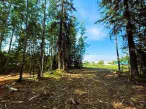 Residential Land Sandy Lake homes