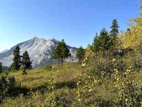 Residential Land Frank homes