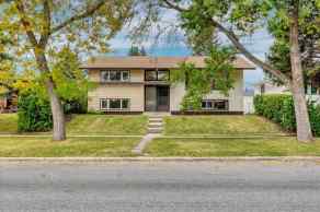 Detached Nose Hill Park homes