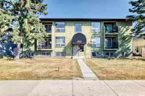 Apartment Calgary homes