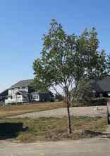 Residential Land Coaldale homes