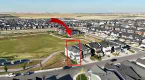 Detached Ambleton homes