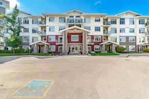 Apartment Auburn Bay homes