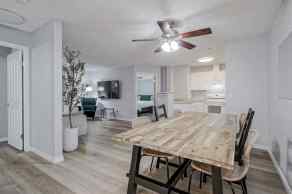 Apartment Somerset homes