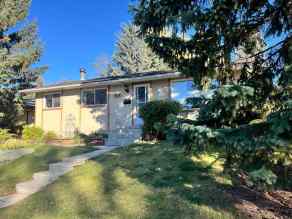 Detached Canyon Meadows homes