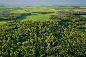 Agriculture Rural Camrose County homes