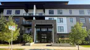 Apartment University District homes