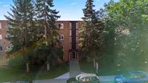 Apartment Windsor Park homes