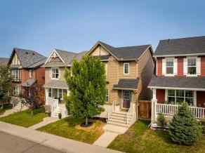 Detached Evanston Valley homes