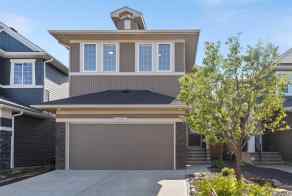 Detached Evanston Valley homes