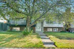 Detached Rundle homes