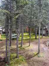 Recreational Sundre homes