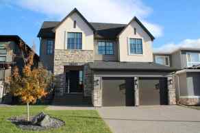 Detached Rocky Vale Green homes