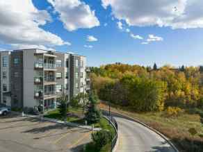 Apartment South Hill homes