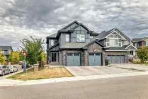 Detached Edmonton homes