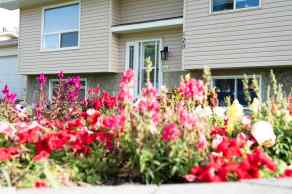 Detached Scandia homes