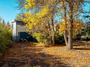 Detached Warner homes