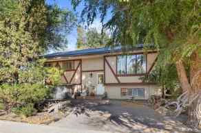 Detached Southview-Park Meadows homes