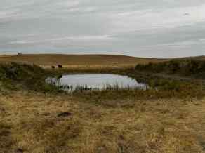 Commercial Land Rural Starland County homes