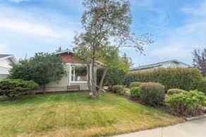 Detached Pines homes