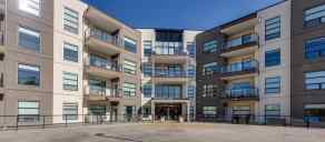 Apartment South Hill homes