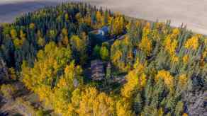 Detached Wanham homes