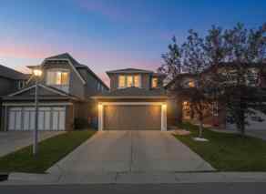 Detached Evanston Valley homes