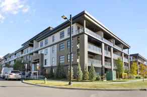 Apartment University District homes