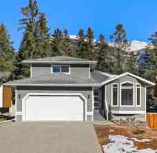 Detached Canmore homes