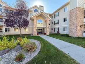 Apartment East Springbank Hill homes