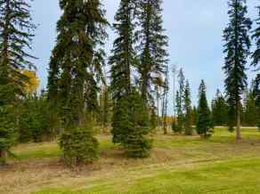 Residential Land Rural Clearwater County homes