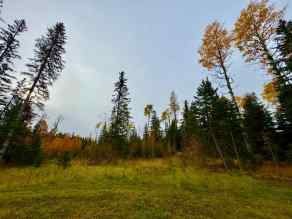 Residential Land Rural Clearwater County homes