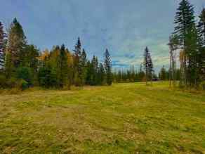 Residential Land Rural Clearwater County homes