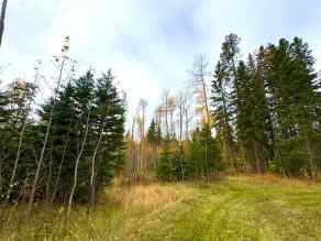 Residential Land Rural Clearwater County homes