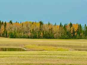 Residential Land Rural Clearwater County homes