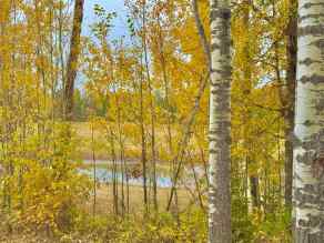 Residential Land Rural Clearwater County homes