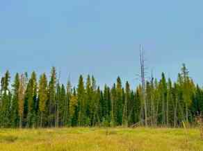 Residential Land Rural Clearwater County homes